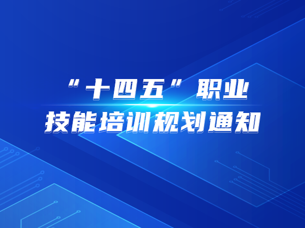 “十四五”職業(yè)技能培訓規劃通知