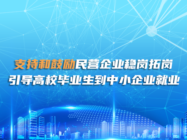 企業(yè)穩崗拓崗 引導高校畢業(yè)生到中小企業(yè)就業(yè)