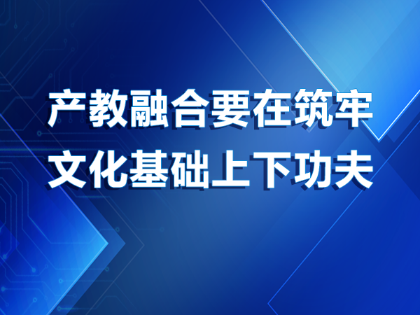 產(chǎn)教融合要在筑牢文化基礎上下功夫